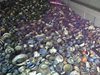 DSCF7316