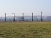 DSCF7447
