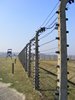 DSCF7434