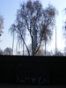 DSCF7362