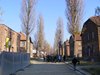 DSCF7373