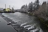 _DSC0206